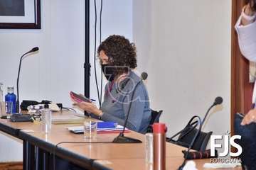 Sesión plenaria del mes de noviembre de 2020/TA y Francisco Javier Santana.